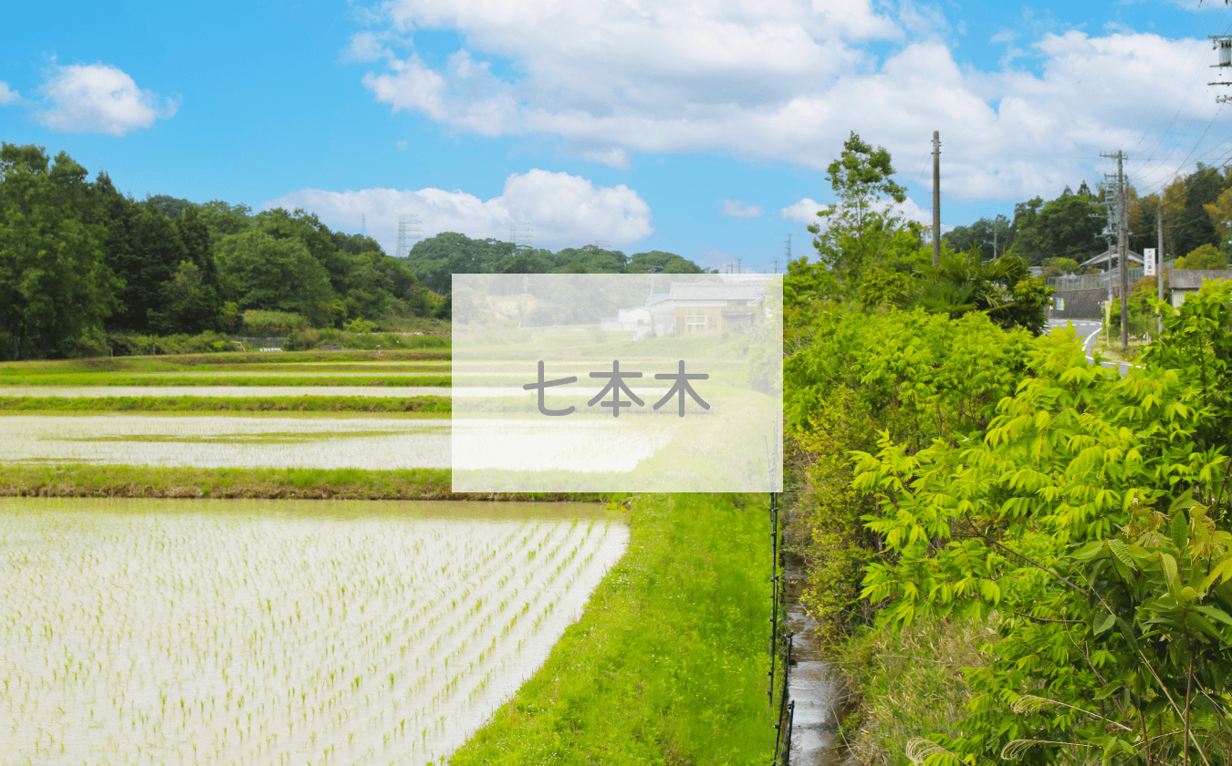 七本木地区の画像