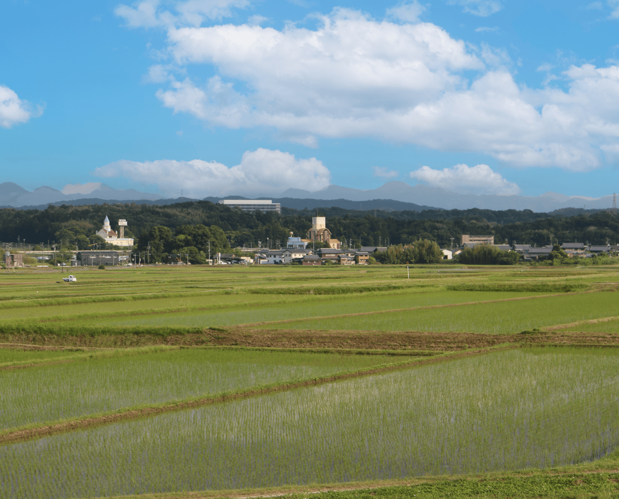 大野木1画像