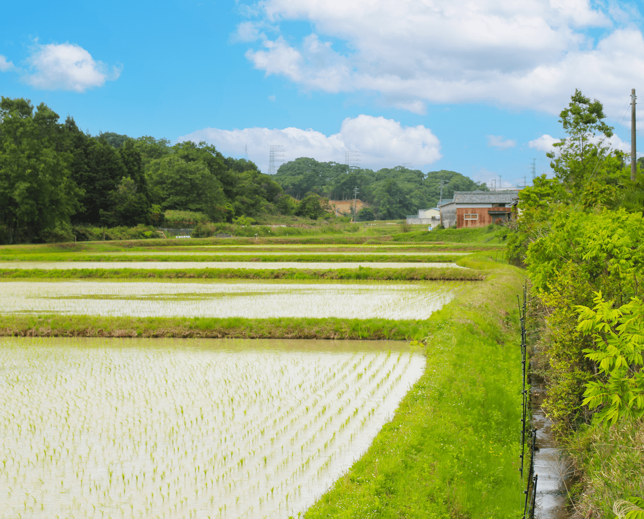 七本木